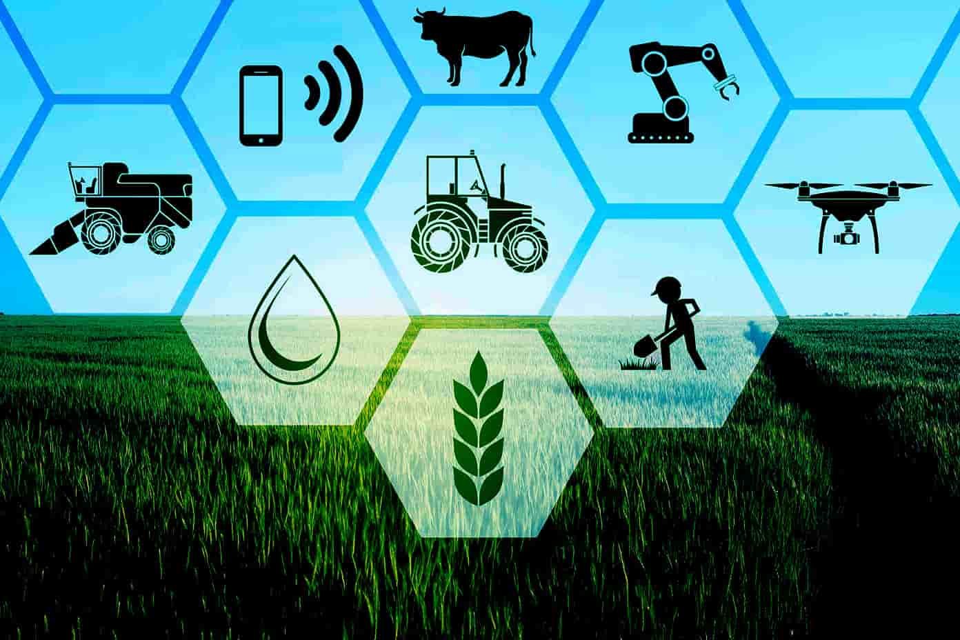 Agriculture: The Impact of Technology on Farming Practices