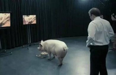 Black Mirror Season 1, Episode 1 RECAP “The National Anthem”