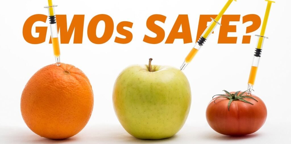 gmos safe?