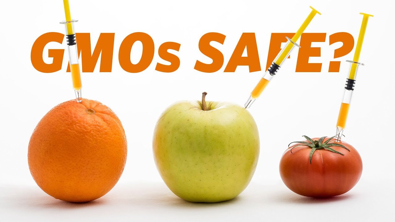 Is GMO Food necessary to end World Hunger?