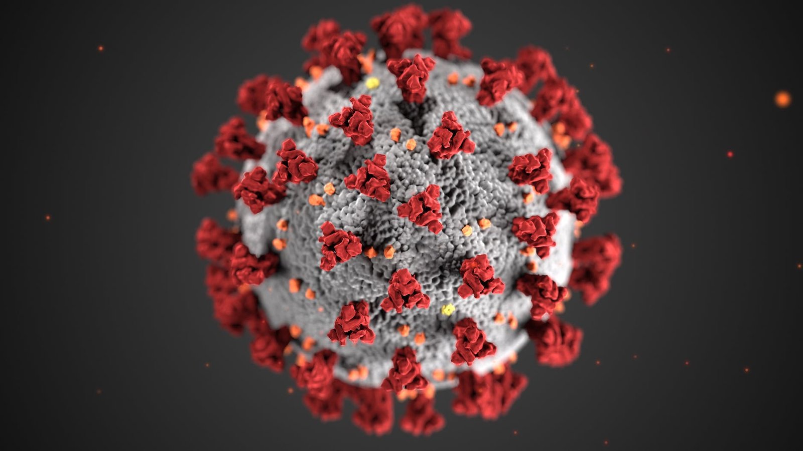 Disease X: The Unknown Threat – Understanding and Protecting Yourself