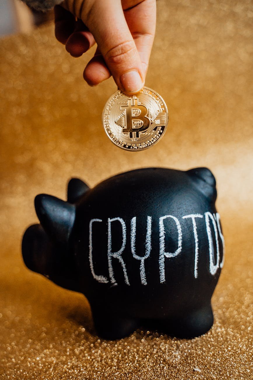 Top 4 Cold Crypto Wallets for Secure Storage in 2024 and Beyond